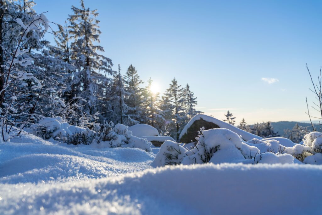 Schneezauber am Pröller im bayerischen Wald