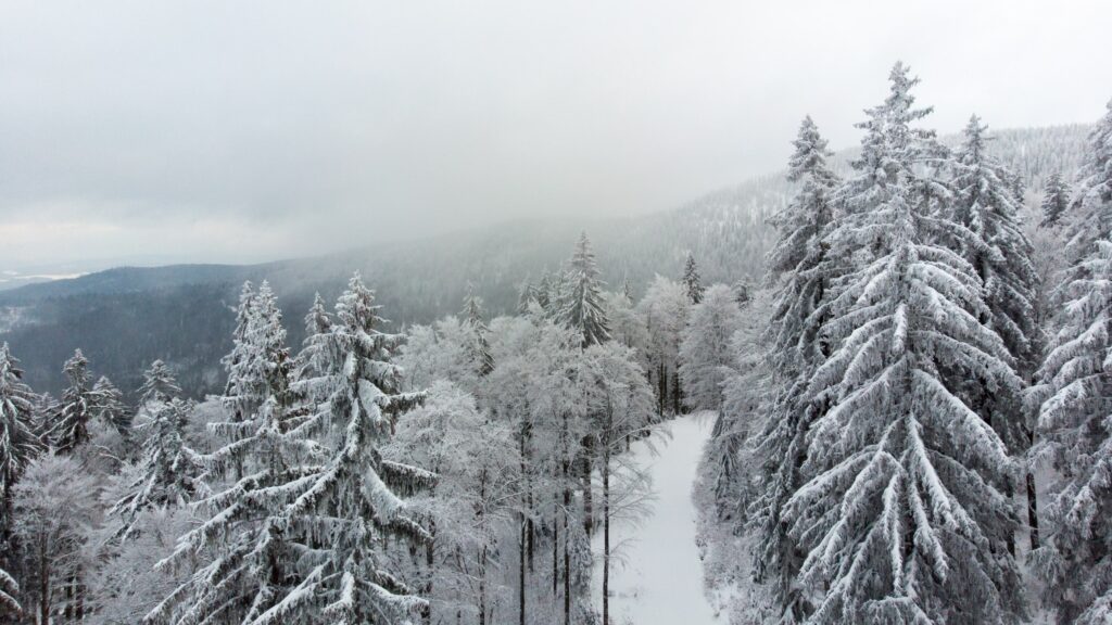 Schneezauber im bayerischen Wald