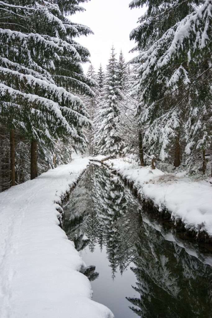 Wasserlauf im Schneezauber im bayerischen Wald