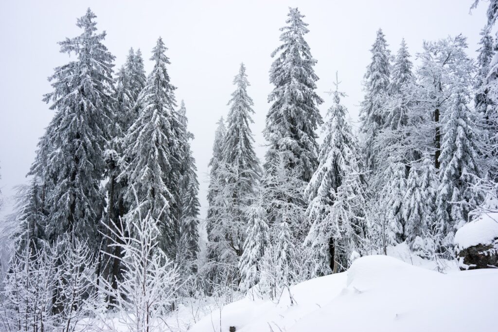 Schneezauber auf dem großen Arber im bayerischen Wald