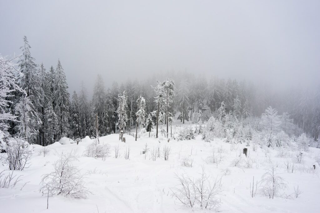 Schneezauber auf dem großen Arber im bayerischen Wald