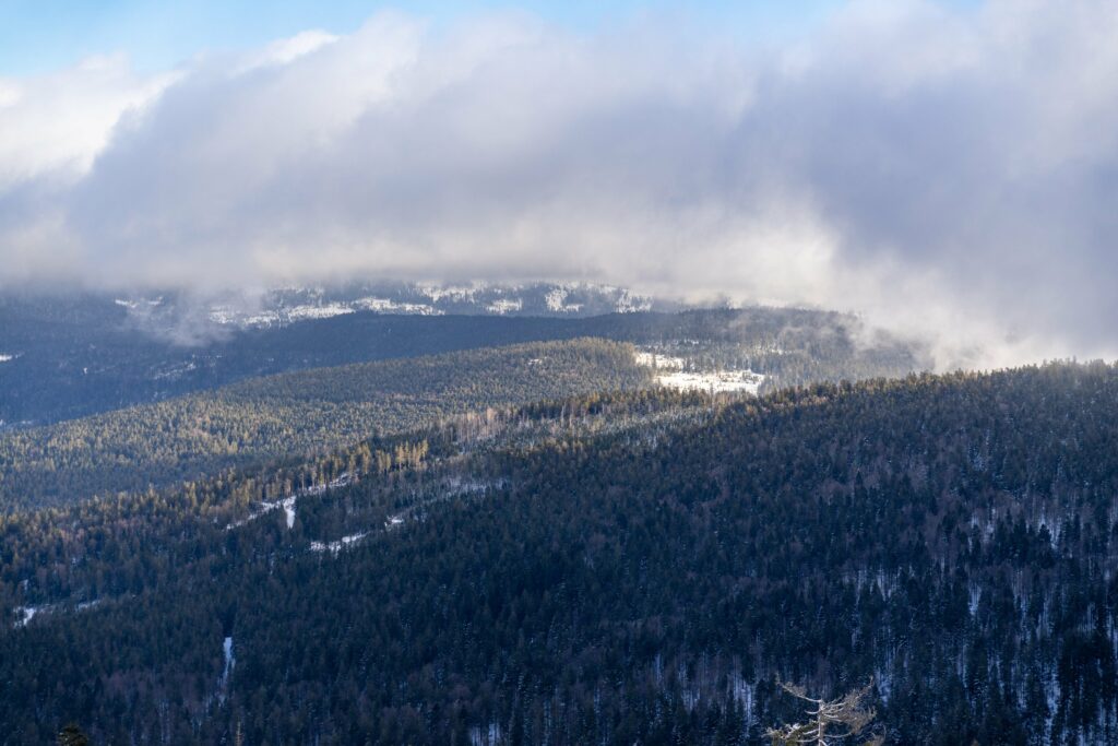 Am großen Arber im bayerischen Wald