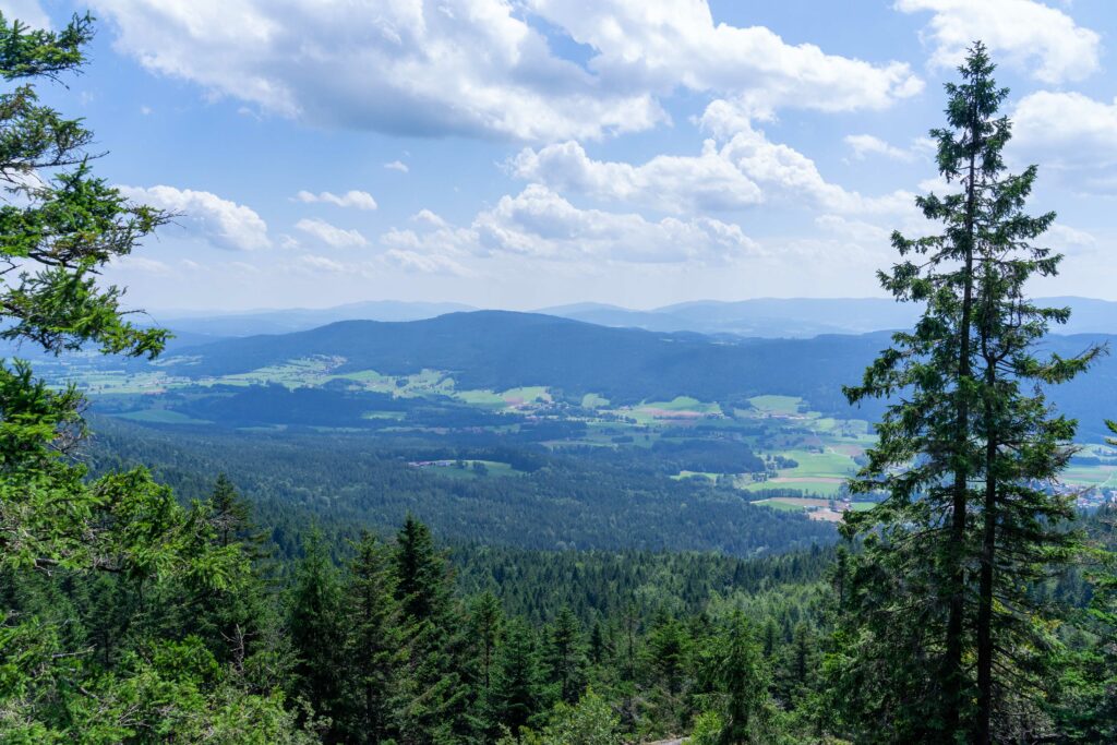 Goldsteig im bayerischen Wald