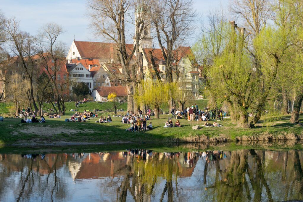 Wiesen an der Donau im Frühling